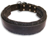 Alsatian Dog Padded Black collar 21'' /21 inch dog collar-C24 Alsatian Dog Padded Black collar 21'' /21 inch dog collar-C24