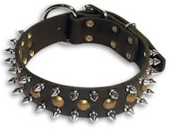 Alsatian Dog Studs Black collar 21'' /21 inch dog collar-S55 Alsatian Dog Studs Black collar 21'' /21 inch dog collar-S55