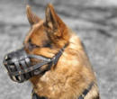 German Shepherd dog muzzle, wire basket dog muzzle,leather dog muzzle German Shepherd dog muzzle