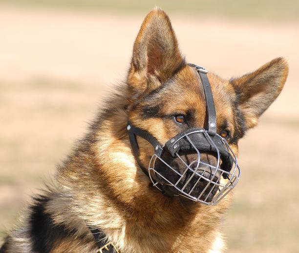 Basket-Wire-Dog-Muzzle-German-shepherd_LRG.JPG