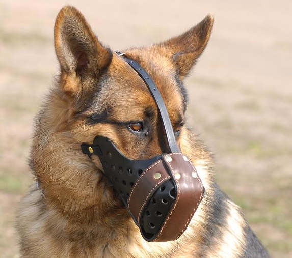 Leather Dog muzzle for German Shepherd 