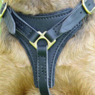 Tracking / Walking dog harness made of leather Tracking / Walking dog harness made of leather