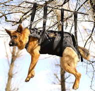 This is the most functional insertion harness we have ever seen. Heavy duty 2” nylon construction. Quick release high strength buckles allow on/off in only seconds (when in use the quick release buckles do not support any weight, the heavy duty brass covered “D” rings support the weight).