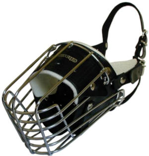 German Shepherd wire basker dog muzzle