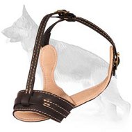 Royal Nappa Leather Dog Muzzle For German Shepherd  Royal Nappa Leather Dog Muzzle For German Shepherd