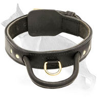 Better Control 2 Ply German Shepherd Leather Collar  Better Control 2 Ply German Shepherd Leather Collar