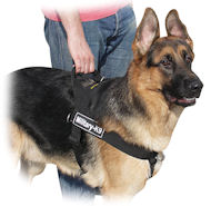 Super Strong Nylon Multipurpose Harness  Super Strong Nylon Multipurpose Harness