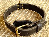 Two ply leather agitation dog collar : German Shepherd Breed: Dog harness,  Muzzle, Dog collar, Dog leash