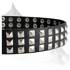 Three Rows Nickel Plated Pyramids Riveted to Leather German Shepherd Collar
