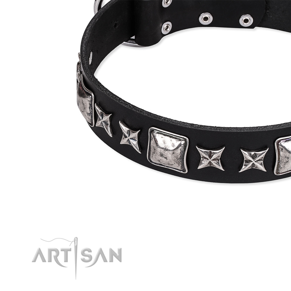 Full grain natural leather dog collar with extraordinary studs