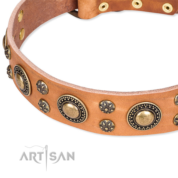 Leather dog collar with unusual studs