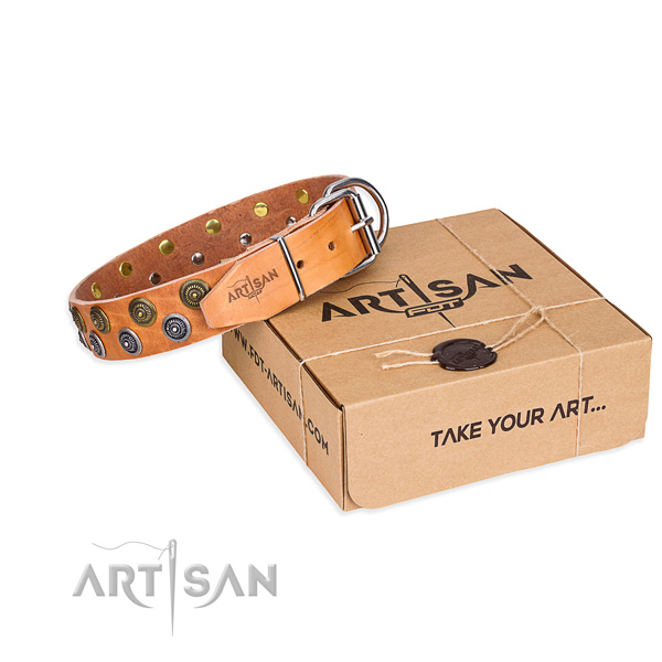 Full grain genuine leather dog collar with adornments for daily use