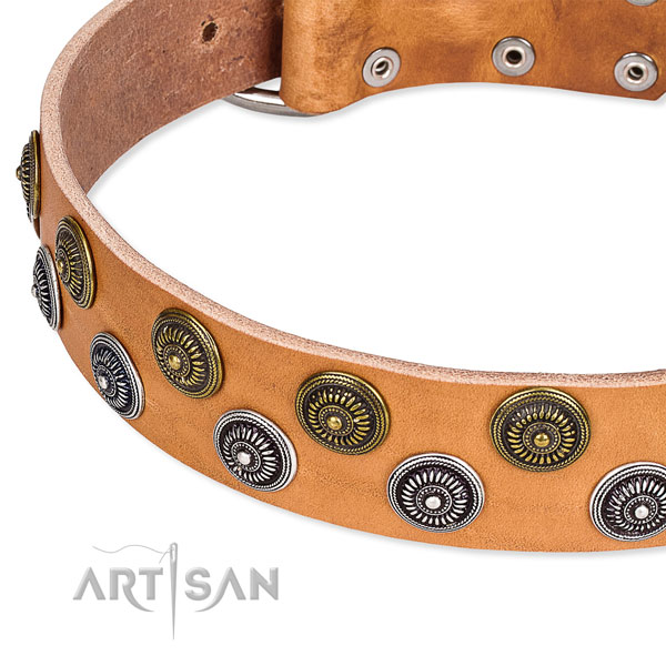 Genuine leather dog collar with top notch studs