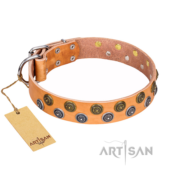 Handy use genuine leather collar with embellishments for your doggie