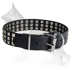 Buckled Leather German Shepherd Collar Decorated with Nickel Plated Pyramids