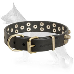 Studded Leather German Shepherd Collar Equipped with Riveted Brass Fittings