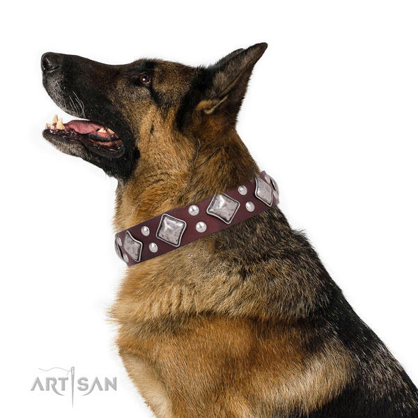 Handy use embellished dog collar made of reliable leather