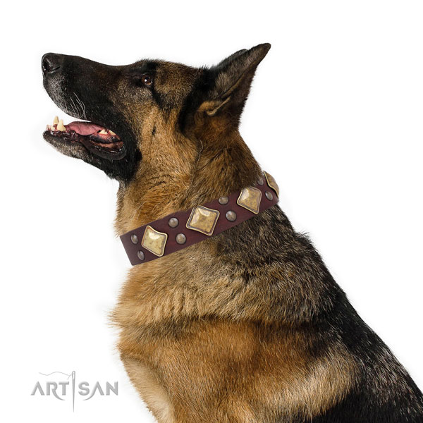 Handy use embellished dog collar made of best quality leather