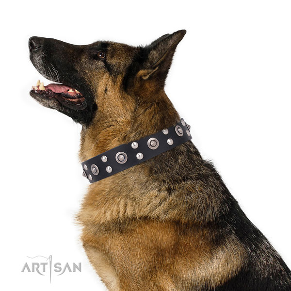 Daily use decorated dog collar made of best quality leather