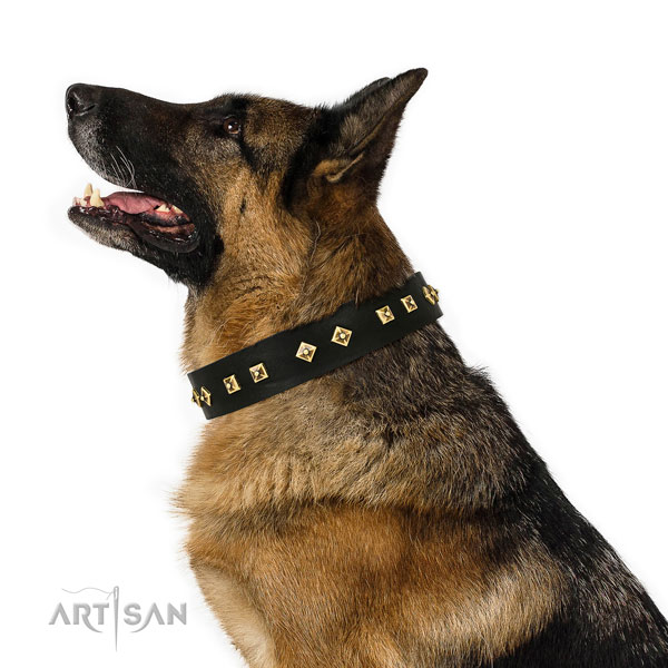 Inimitable studs on walking genuine leather dog collar
