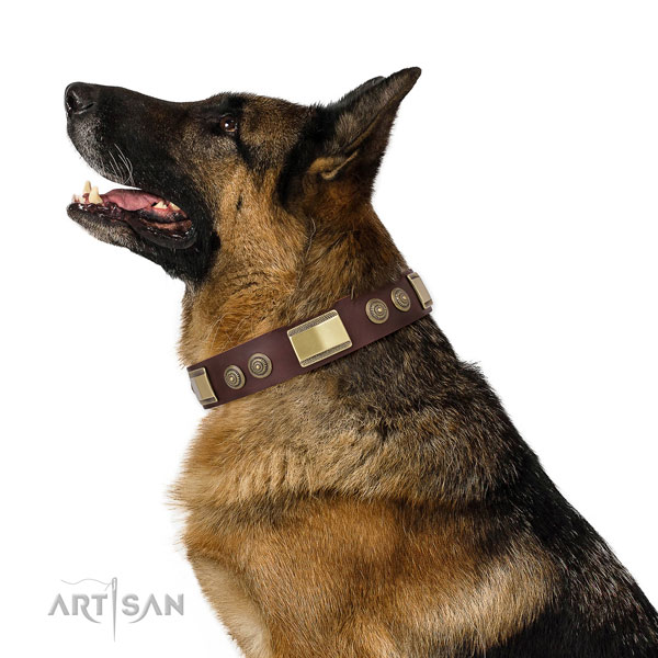 Fashionable decorations on comfortable wearing dog collar
