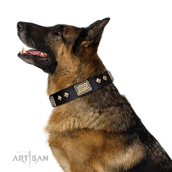 Top rate walking dog collar of genuine leather