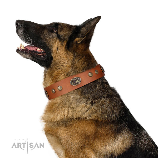 Corrosion proof D-ring on full grain natural leather dog collar for walking