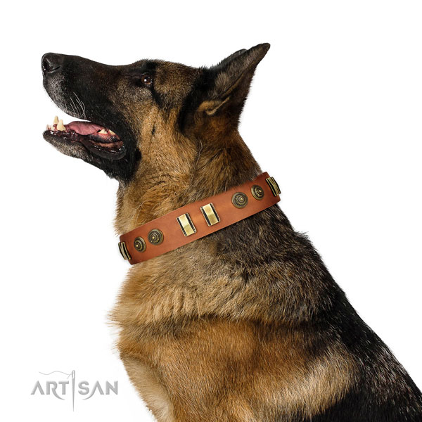 Reliable fittings on full grain natural leather dog collar for stylish walking