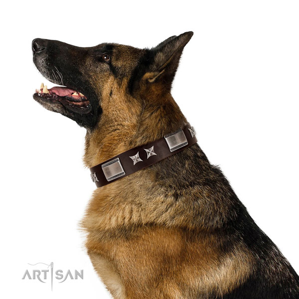 Impressive collar of leather for your stylish pet