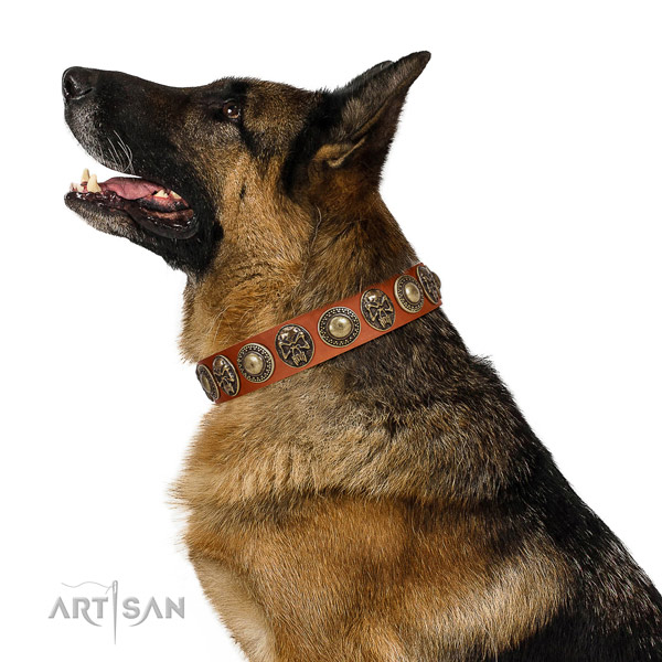 Stylish full grain leather collar for your attractive canine