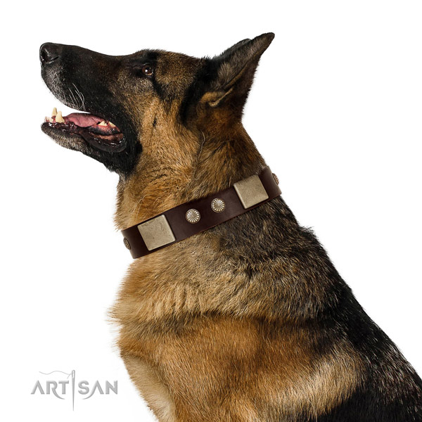 Corrosion proof D-ring on full grain leather dog collar for daily use