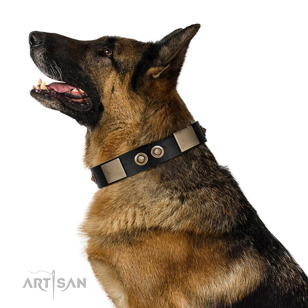 Corrosion proof buckle on genuine leather dog collar for comfy wearing