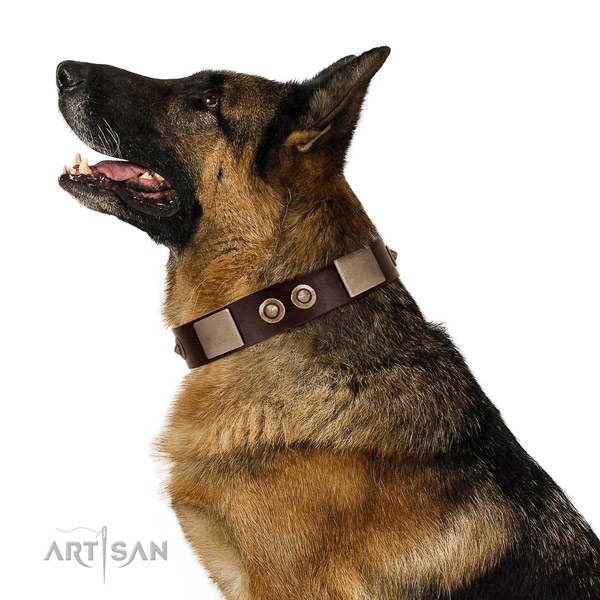 Corrosion resistant D-ring on leather dog collar for everyday use
