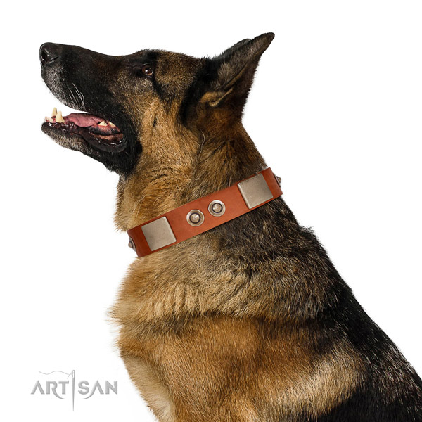 Rust-proof fittings on genuine leather dog collar for fancy walking
