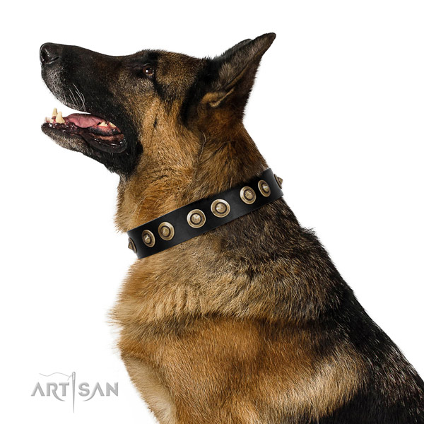 Easy wearing dog collar of genuine leather with stunning adornments