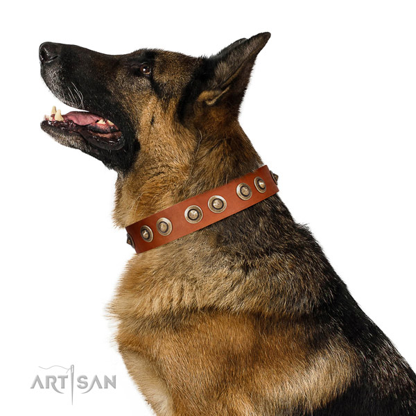 Comfortable wearing dog collar of natural leather with top notch embellishments