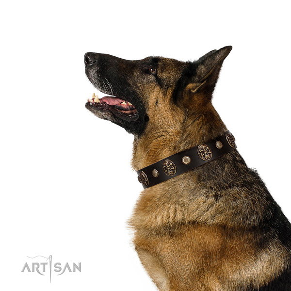 Easy to adjust leather collar for your impressive doggie