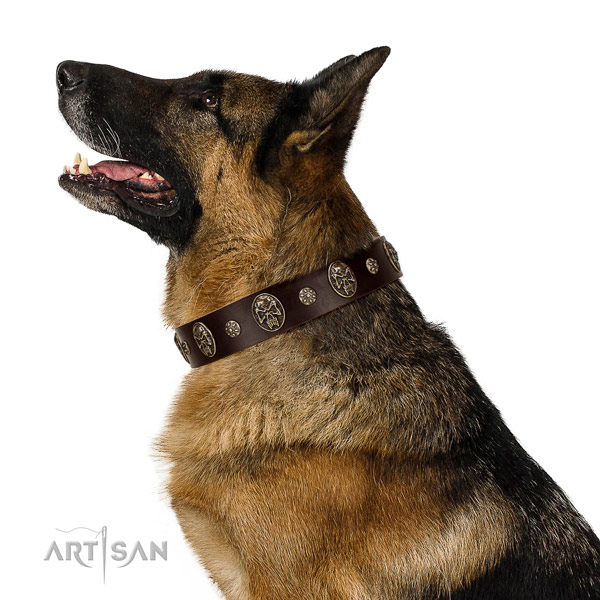Fancy walking dog collar of natural leather with stunning decorations