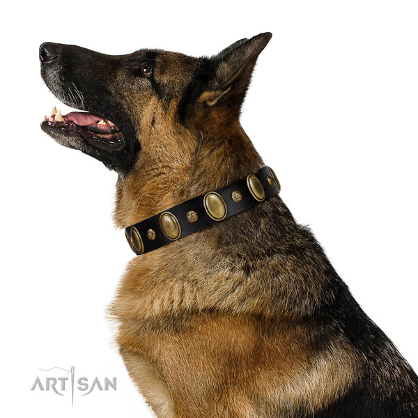 Full grain leather dog collar of top rate material with awesome embellishments