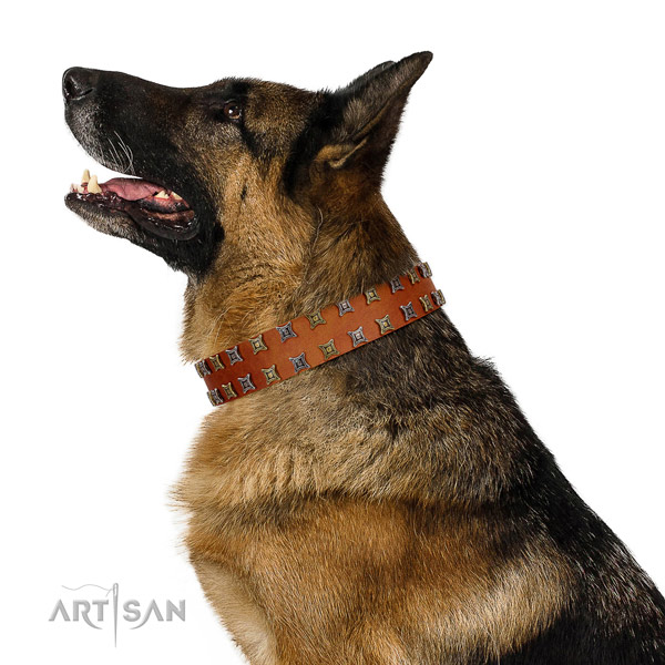 Quality full grain genuine leather dog collar with decorations for your doggie