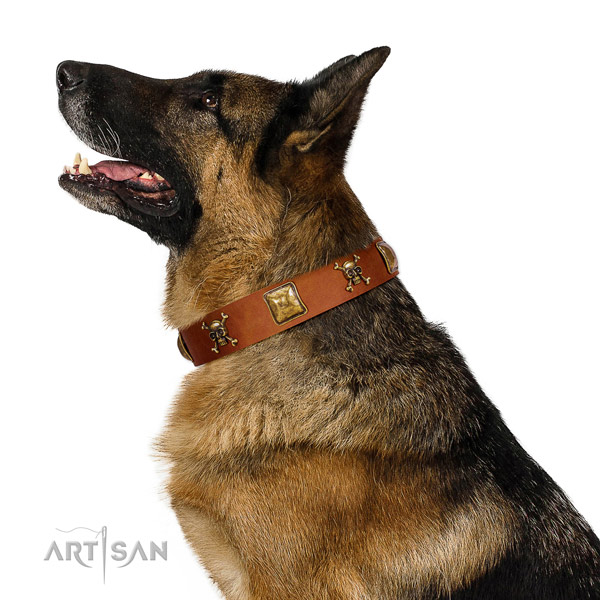 Trendy natural leather dog collar with strong adornments