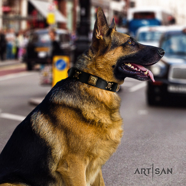German Shepherd Dog stunning embellished natural genuine leather dog collar