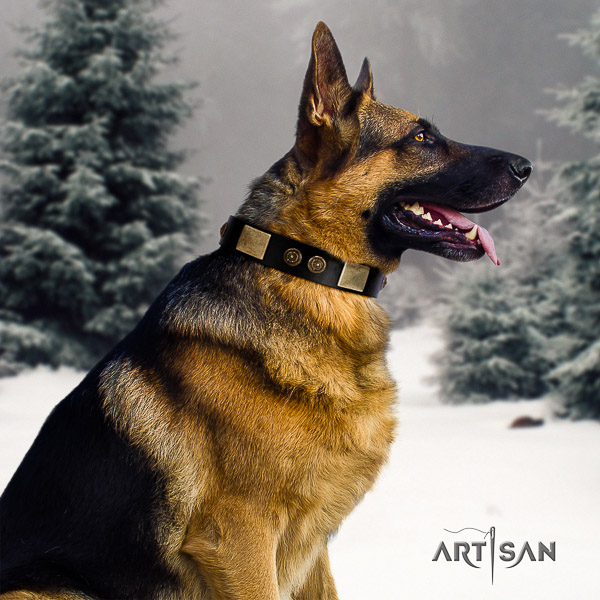 German Shepherd Dog inimitable adorned genuine leather dog collar