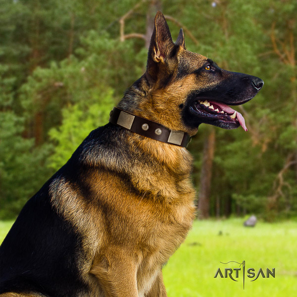 German Shepherd Dog designer studded natural genuine leather dog collar