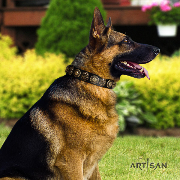 German Shepherd Dog exceptional embellished full grain leather dog collar