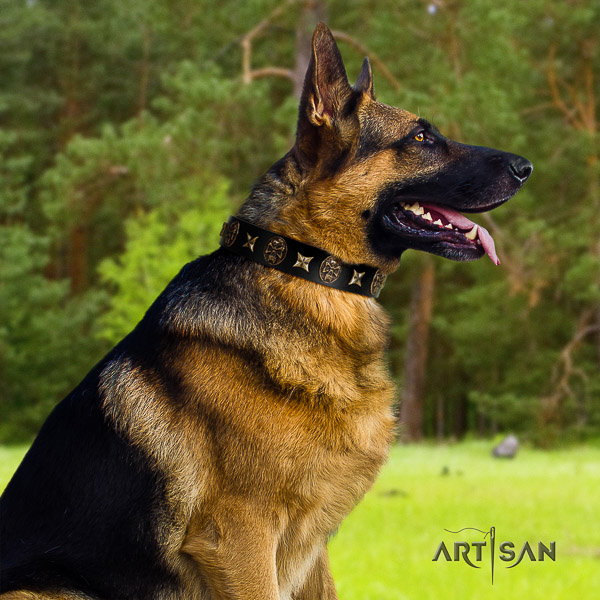 German Shepherd Dog inimitable decorated full grain leather dog collar
