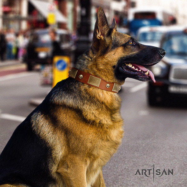 German Shepherd Dog top notch embellished full grain genuine leather dog collar
