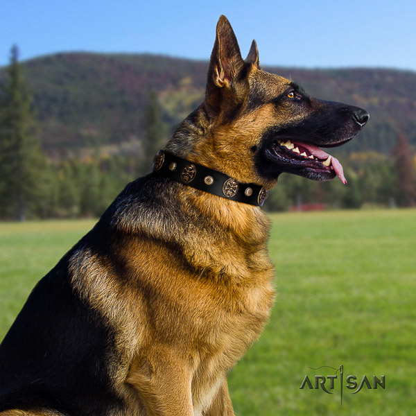 German Shepherd Dog designer embellished leather dog collar