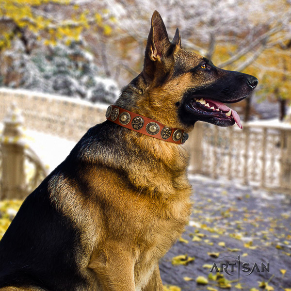 German Shepherd Dog trendy adorned full grain natural leather dog collar