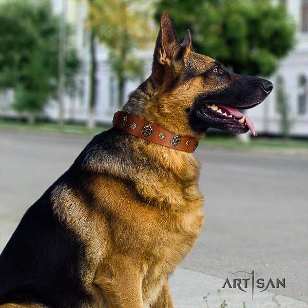 German Shepherd Dog impressive adorned natural genuine leather dog collar